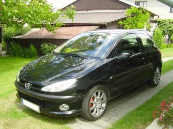 Peugeot 206: titulní fotka